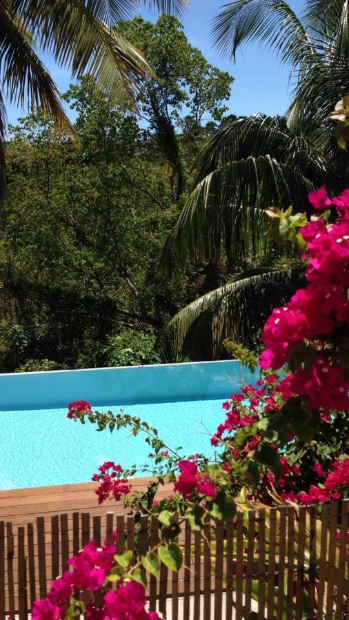 Confortable T1 Le Gosier, Wi-Fi, Piscine Dans Gite 哥西尔 外观 照片